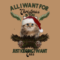 All I Want For Christmas Is You Just Kidding I Want Cats Vintage Hoodie | Teevron