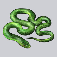 Boomslang Snake Classic Tee | Teevron