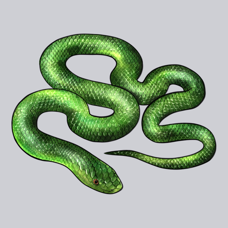 Boomslang Snake Classic Tee by LillyAllenDesigns | Teevron