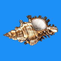 Murex Snail Classic Tee | Teevron