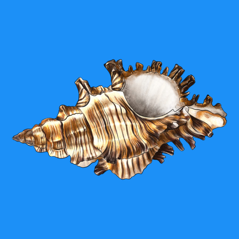 Murex Snail Classic Tee by LillyAllenDesigns | Teevron
