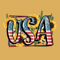 Usa 4th Of July Premium Hoodie | Teevron