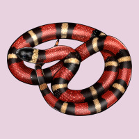 Milk Snake Classic Tee | Teevron