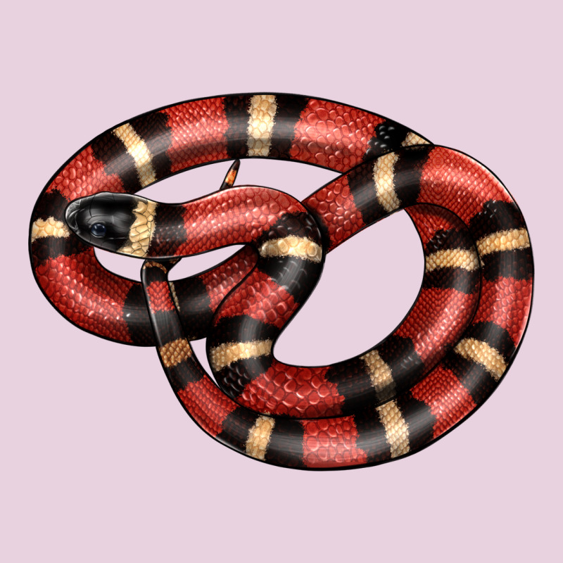 Milk Snake Classic Tee by LillyAllenDesigns | Teevron