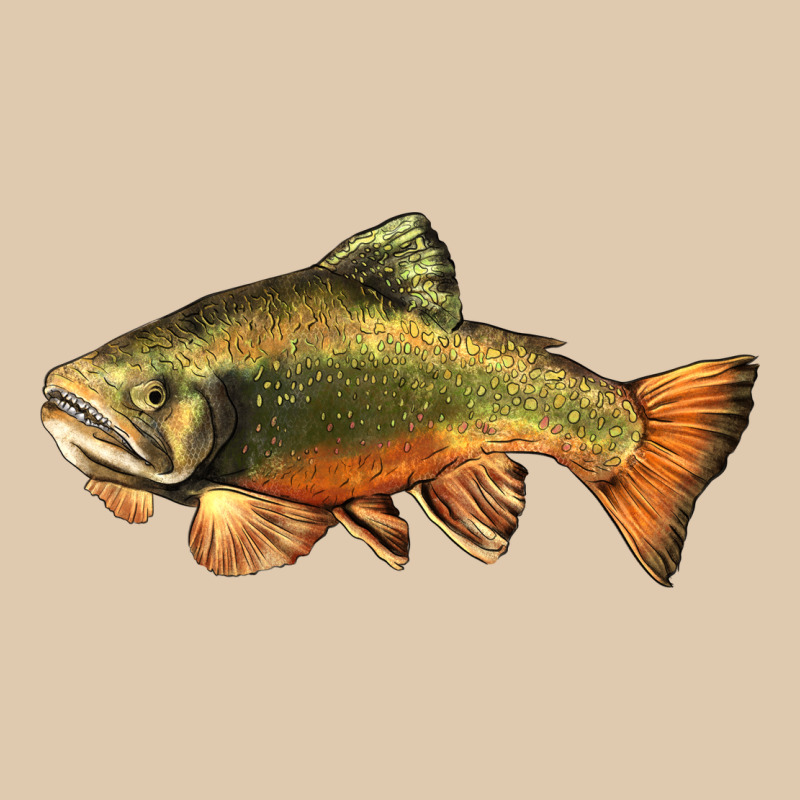 Leaping Brook Trout Classic Tee by LillyAllenDesigns | Teevron