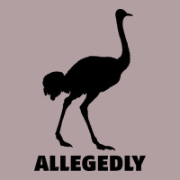 Allegedly Funny Ostrich Vintage Hoodie | Teevron