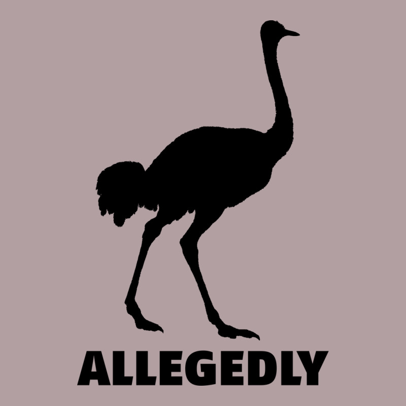 Allegedly Funny Ostrich Vintage Hoodie by Bettercallsaul | Teevron