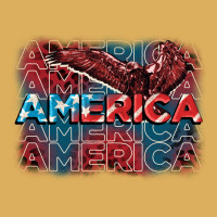 America America America America 4th Of July Premium Hoodie | Teevron