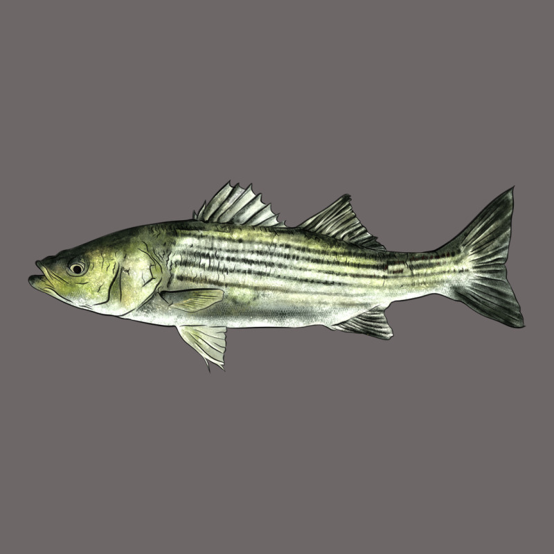 Striped Bass Classic Tee by LillyAllenDesigns | Teevron