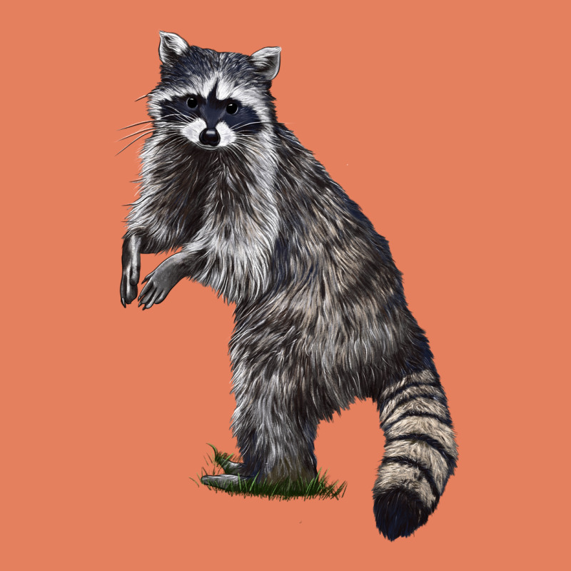 Raccoon Illustrations Classic Tee by LillyAllenDesigns | Teevron