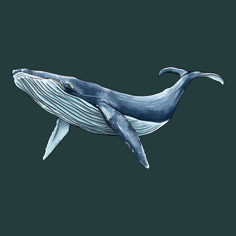 Humpback Whale Classic Tee by BarkalooDesign | Teevron