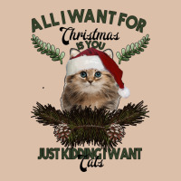 All I Want For Christmas Is You Just Kidding I Want Cats Urban Heavy Tee | Teevron