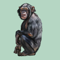 Chimpanzee Illustrations Classic Tee | Teevron