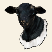Dorper Sheep Vintage Tee | Teevron