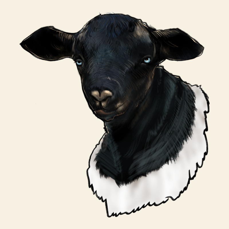 Dorper Sheep Vintage Tee by RanaPortraitStore | Teevron