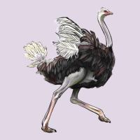 Ostrich Classic Tee | Teevron