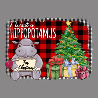 I Want Hippopotamus For Christmas Vintage Tee | Teevron