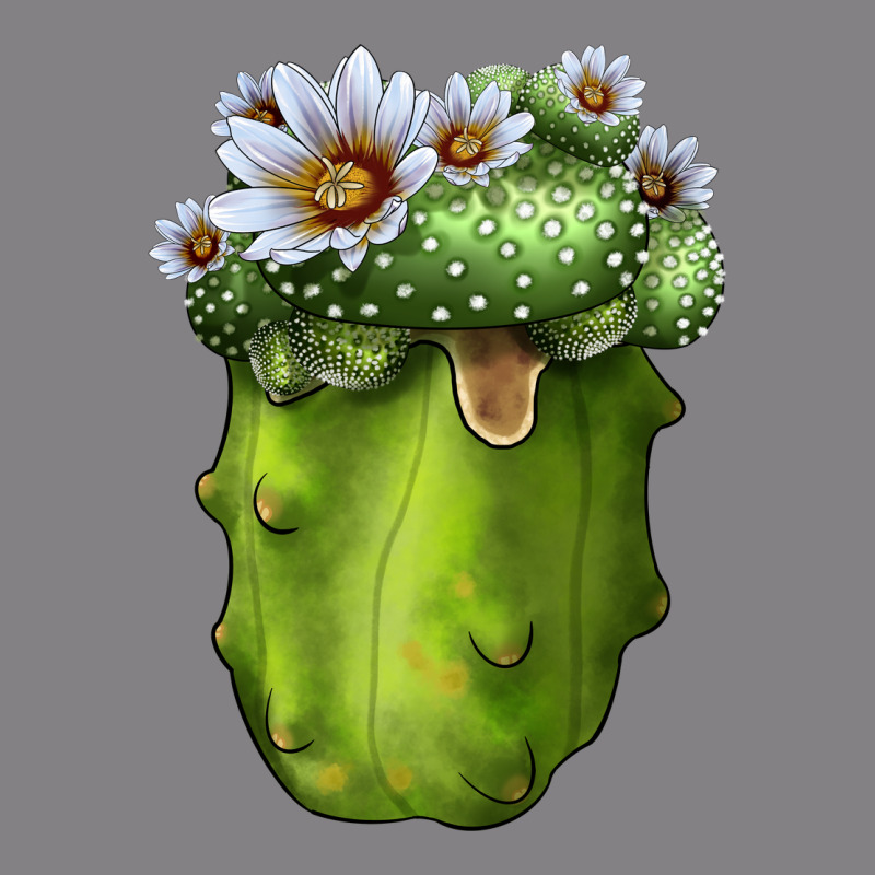 Blossfeldia Cactus Heavyweight Hoodie by LillyAllenDesigns | Teevron