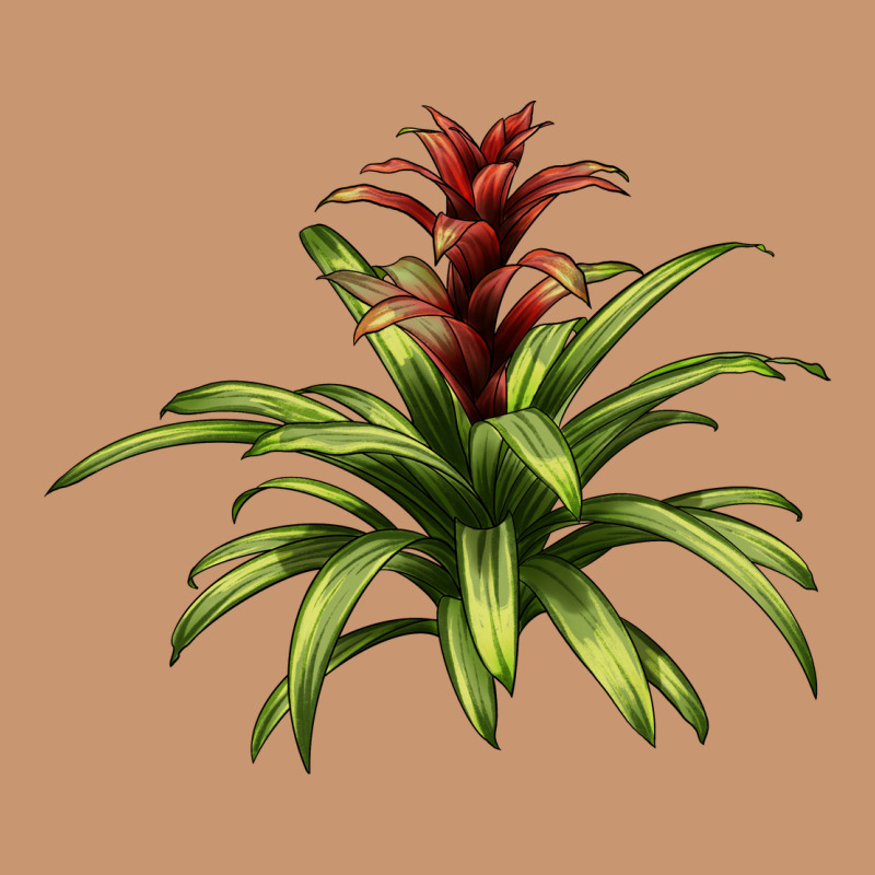 Bromeliads Heavyweight Hoodie by LillyAllenDesigns | Teevron