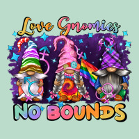 Love Gnomies No Brounds Pride Premium Hoodie | Teevron