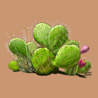 Desert Prickly Pear Cactus Heavyweight Hoodie | Teevron