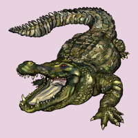 Alligator Classic Tee | Teevron
