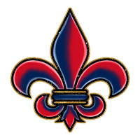 louisiana fleur de lis | Teevron