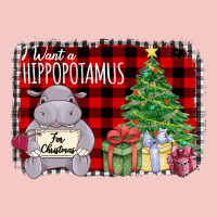 I Want A Hippopotamus Urban Heavy Tee | Teevron