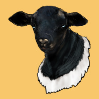 Dorper Sheep Vintage Hoodie | Teevron