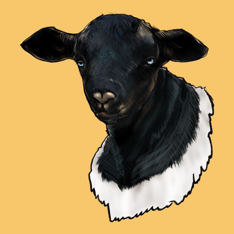 Dorper Sheep Vintage Hoodie by RanaPortraitStore | Teevron