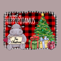 I Want Hippopotamus For Christmas Vintage Hoodie | Teevron
