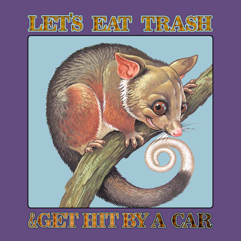 Let's Eat Trash & Get Hit By A Car Vintage Hoodie by Bettercallsaul | Teevron