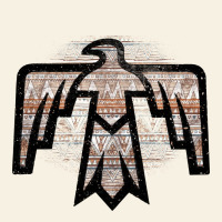 Western Light Aztec Thunderbird Vintage Tee | Teevron