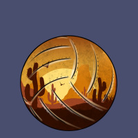 Desert Cactus Sunset Volleyball Vintage Tee | Teevron