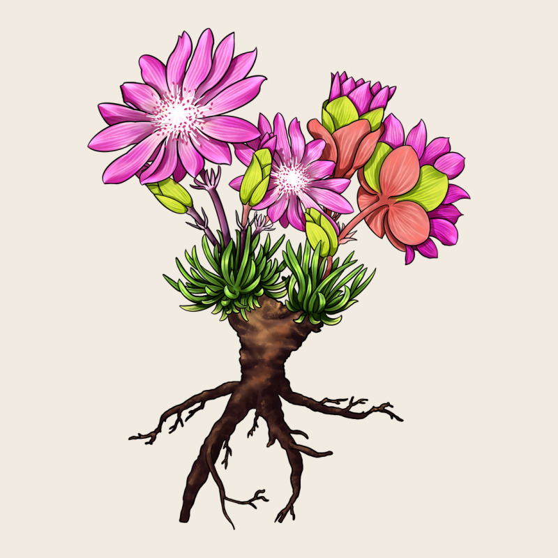 Bitterroot Flower Premium Sweatshirt by LillyAllenDesigns | Teevron