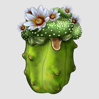 Blossfeldia Cactus Premium Sweatshirt | Teevron