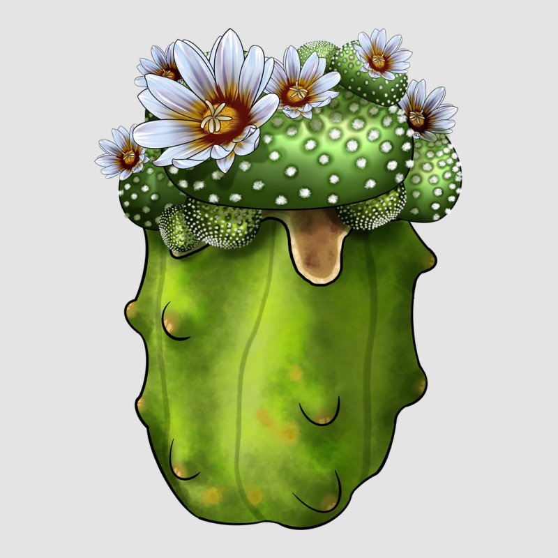 Blossfeldia Cactus Premium Sweatshirt by LillyAllenDesigns | Teevron