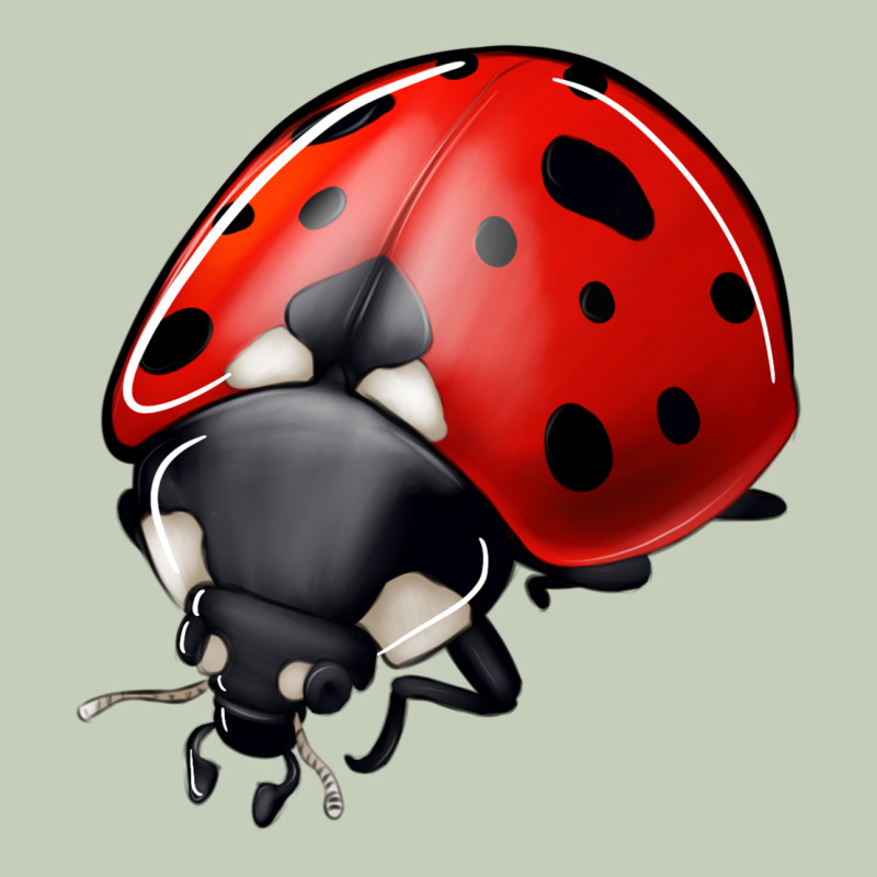 Ladybug Ladies Tee by Jasminsmagicworld | Teevron