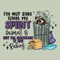 Spirit Animal Raccoon Ladies Tee | Teevron
