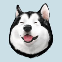Husky Ladies Tee | Teevron