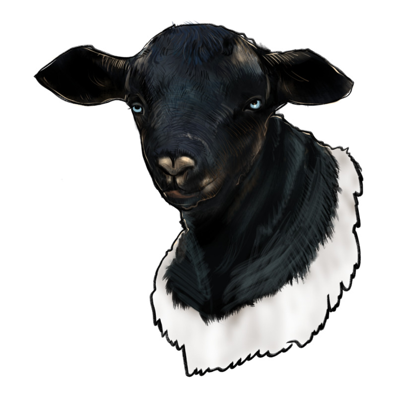 Dorper Sheep Urban Heavy Tee by RanaPortraitStore | Teevron