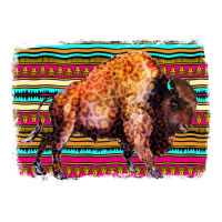 Aztec Buffalo | Teevron