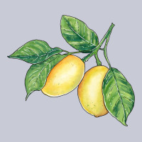 Lemons Heavyweight Hoodie | Teevron