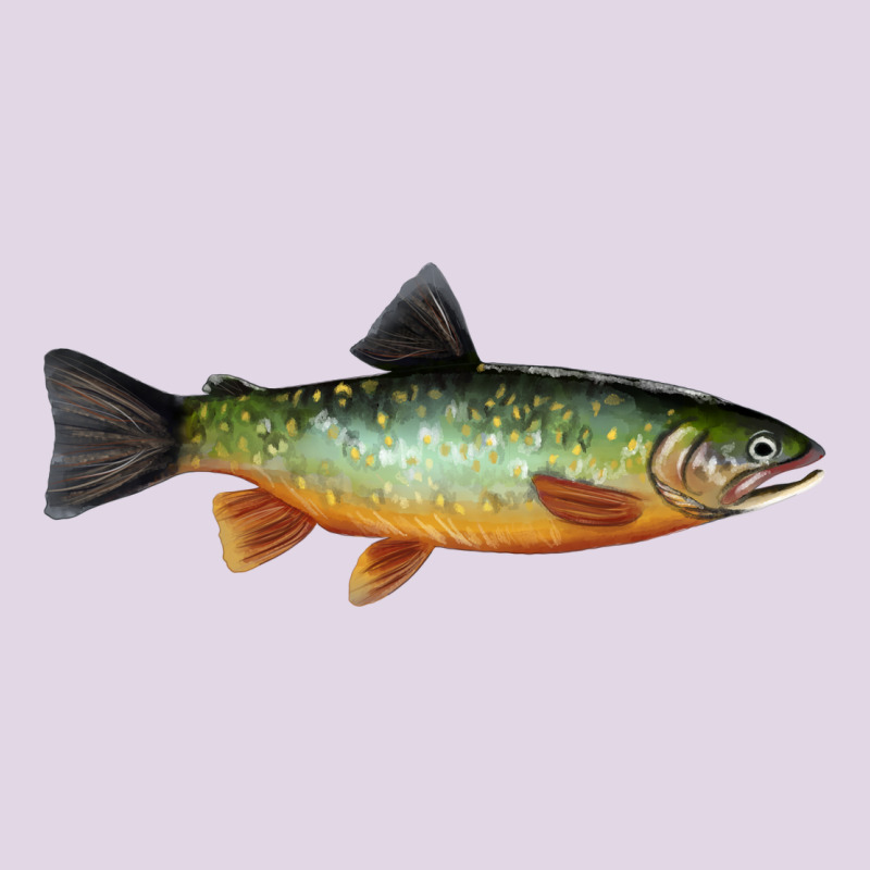 Greenback Cutthroat Trout Fish Classic Tee by RanaPortraitStore | Teevron