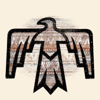 Western Light Aztec Thunderbird Vintage Hoodie | Teevron