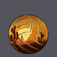 Desert Cactus Sunset Volleyball Vintage Hoodie | Teevron