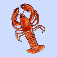 Crawfish Urban Heavy Tee | Teevron