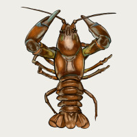 Crawfish Zipper Hoodie | Teevron