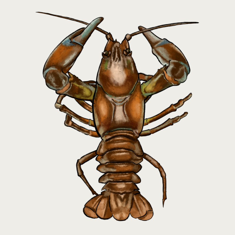 Crawfish Zipper Hoodie by FaDigitalArtStudio | Teevron