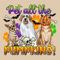 Pet All The Pumpkins Heavyweight Sweatshirt | Teevron
